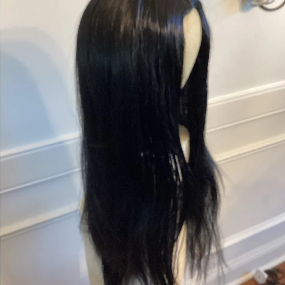 Sleek Black Synthetic Wig (~ 24 - 26 inch) NWOT